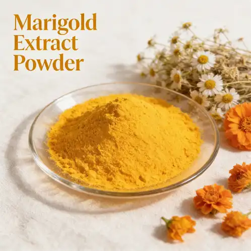 Marigold Extract Powder for Eye Health: Macular Defense Naturally